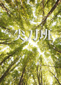 亚洲精品一区久久久久久