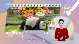 善良的丈母娘